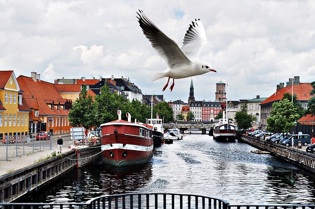 Boat Tours