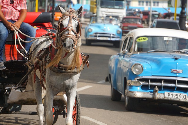 Buggy Hire