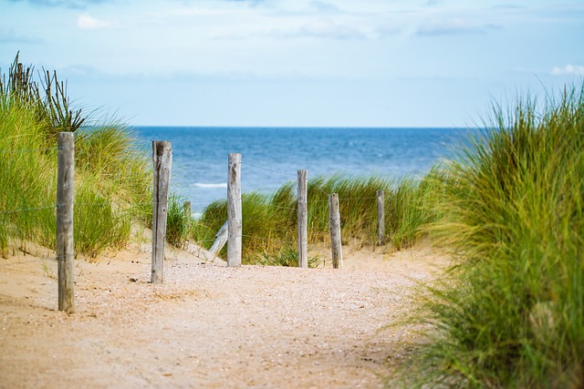 buggy-sand-640x480-93423717.jpeg