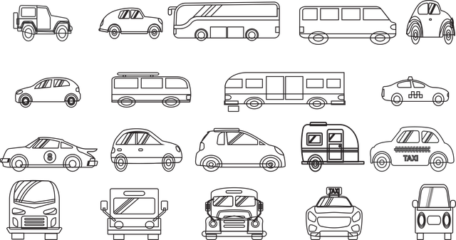 buses