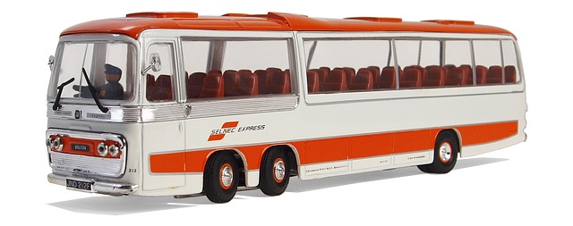 buses