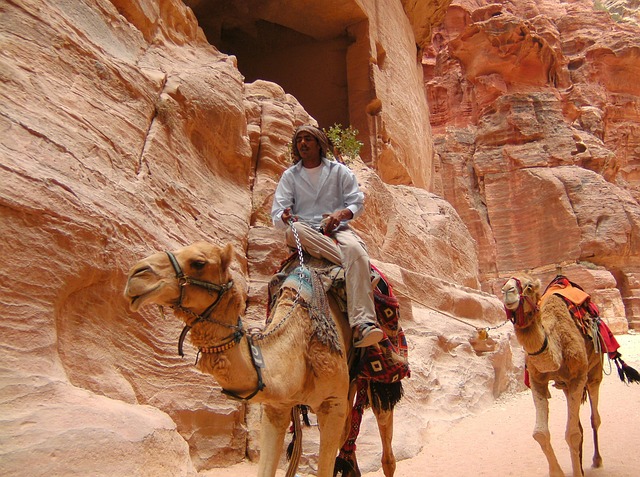 Camel Riding