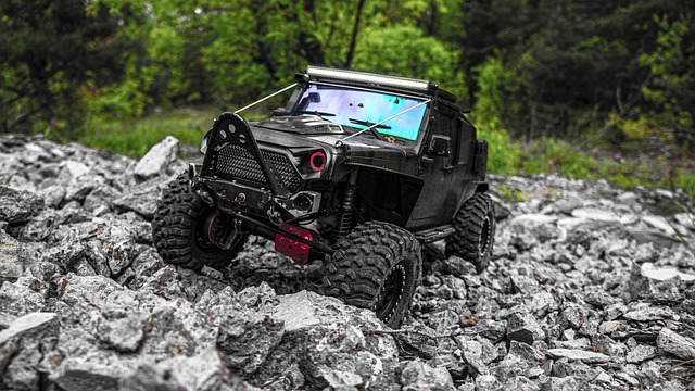 Can-Am Buggy