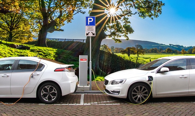 Car Rental