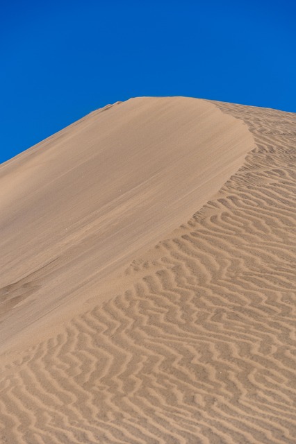desert dune buggy