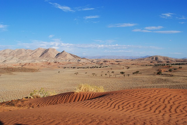 desert dune buggy