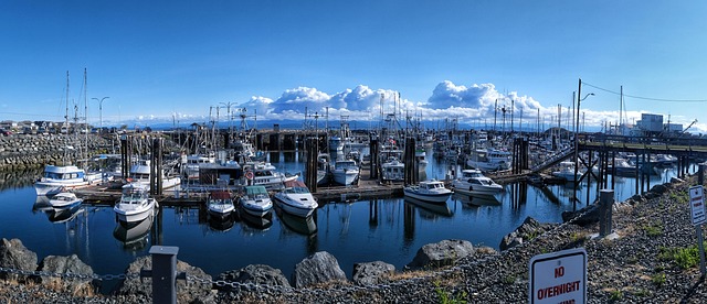 harbour yacht