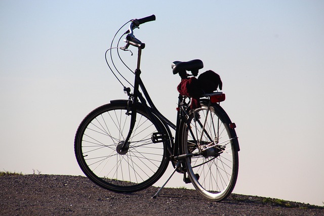 Hatta Cycling Tour Package: Dubai’s Mountain Biking Paradise