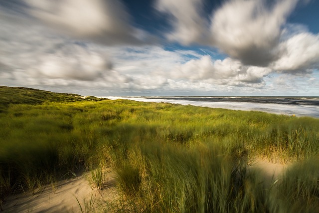 morning-dune-buggy-640x480-56603370.jpeg