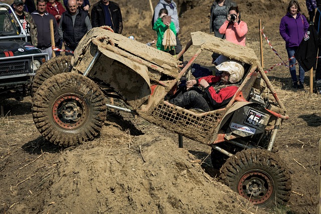 Off-Road Dune