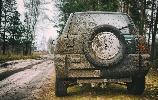Off-Road Dune
