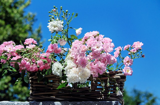 Stylish Pink Limo Transport: Elevate Your Dubai Event Experience