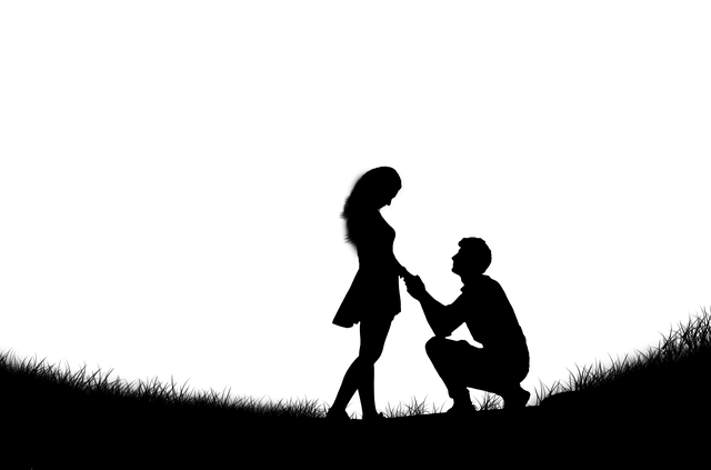 Proposal Helicopter