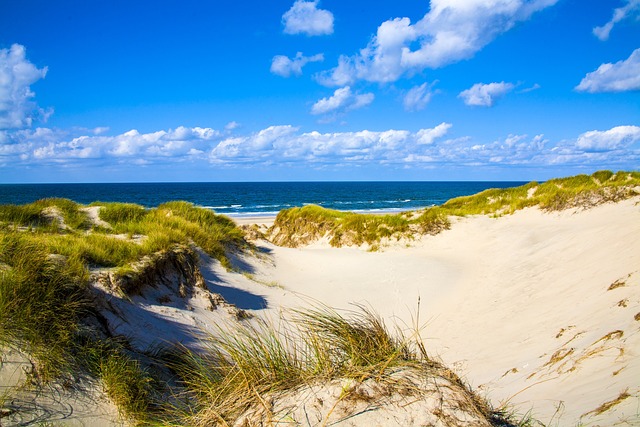 quad biking dunes