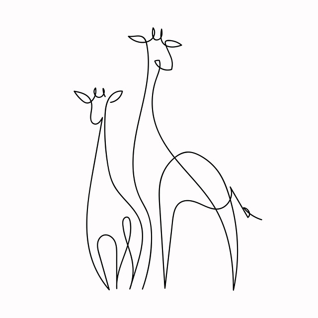 Safari