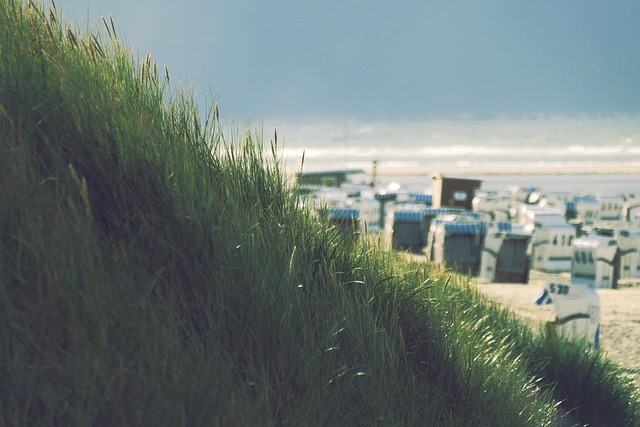 sand dune buggy