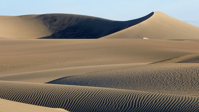 Sand Dune Buggy