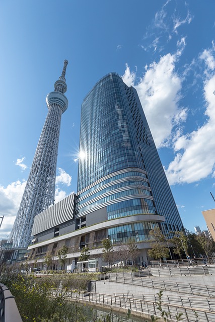 sightseeing city tours