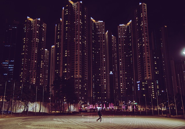 Skyline Helicopter