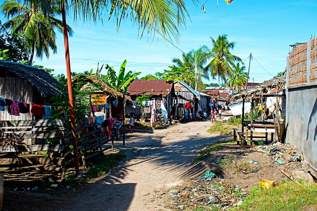 Tour and Travel Company